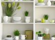 Open Shelving Ideas