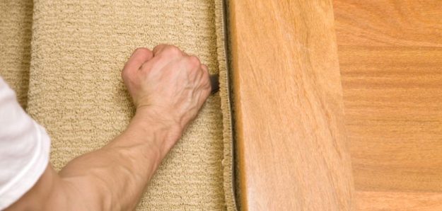 Carpet vs Hardwood Carpet vs Hardwood