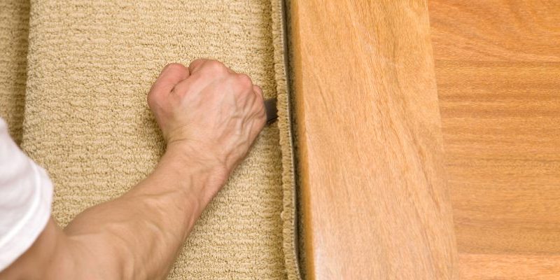 Carpet vs Hardwood Carpet vs Hardwood